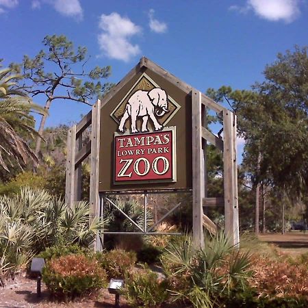 4Bd 2 Mi To Usf Free Pool + 24 Hour Gym Tampa Exterior foto
