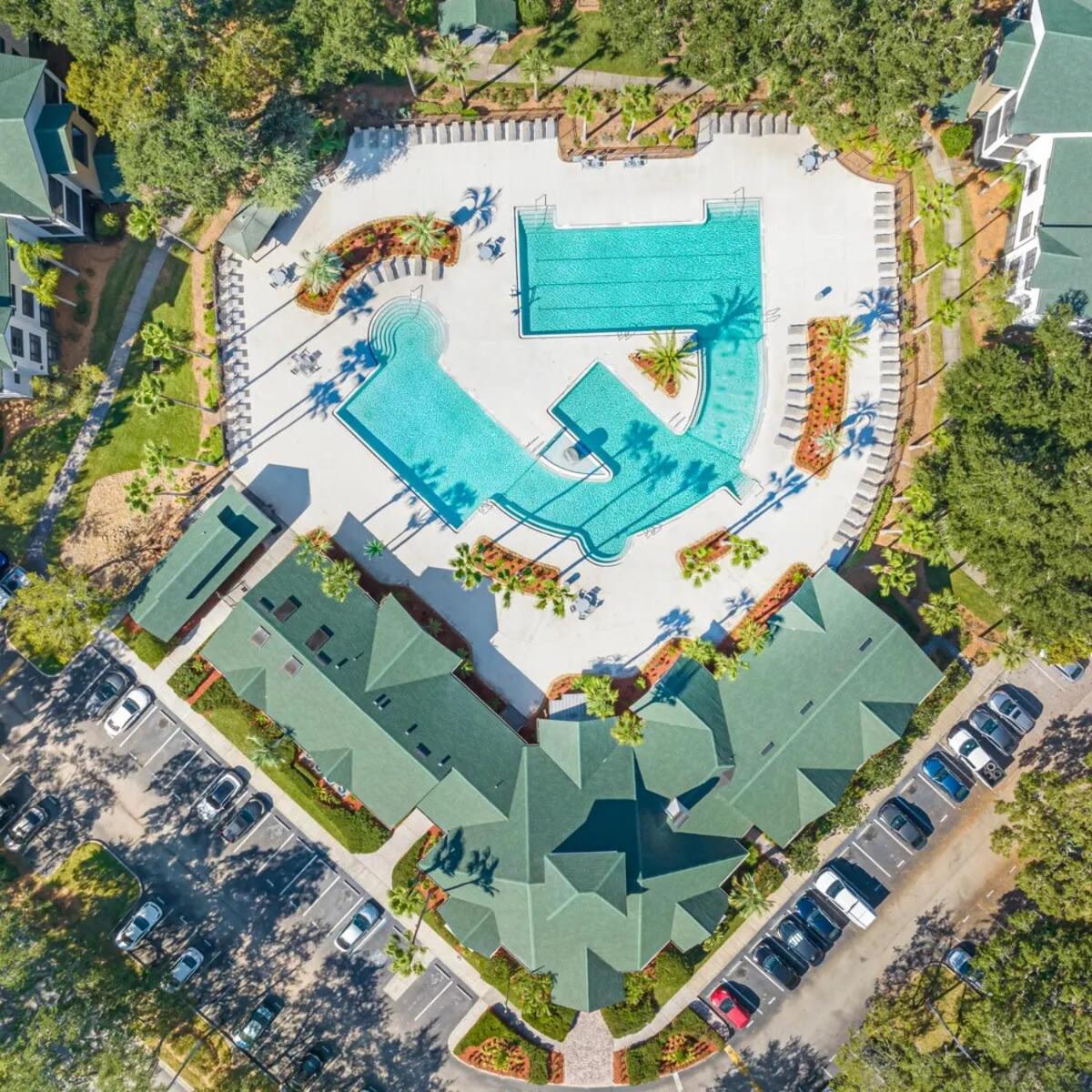 4Bd 2 Mi To Usf Free Pool + 24 Hour Gym Tampa Exterior foto