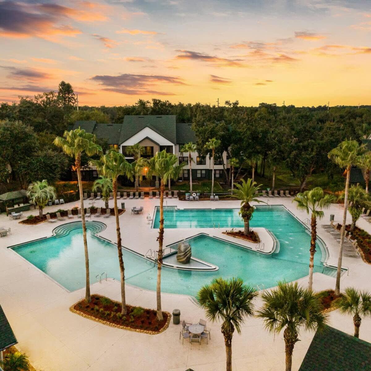 4Bd 2 Mi To Usf Free Pool + 24 Hour Gym Tampa Exterior foto