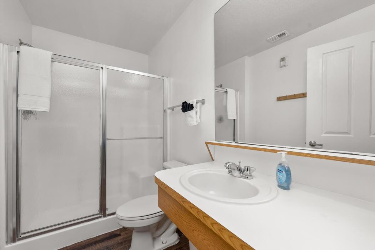 4Bd 2 Mi To Usf Free Pool + 24 Hour Gym Tampa Exterior foto