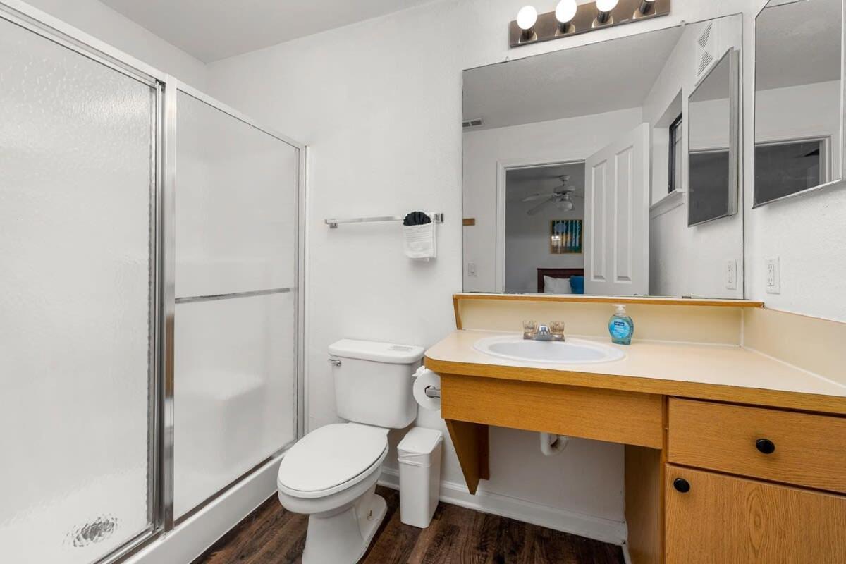 4Bd 2 Mi To Usf Free Pool + 24 Hour Gym Tampa Exterior foto