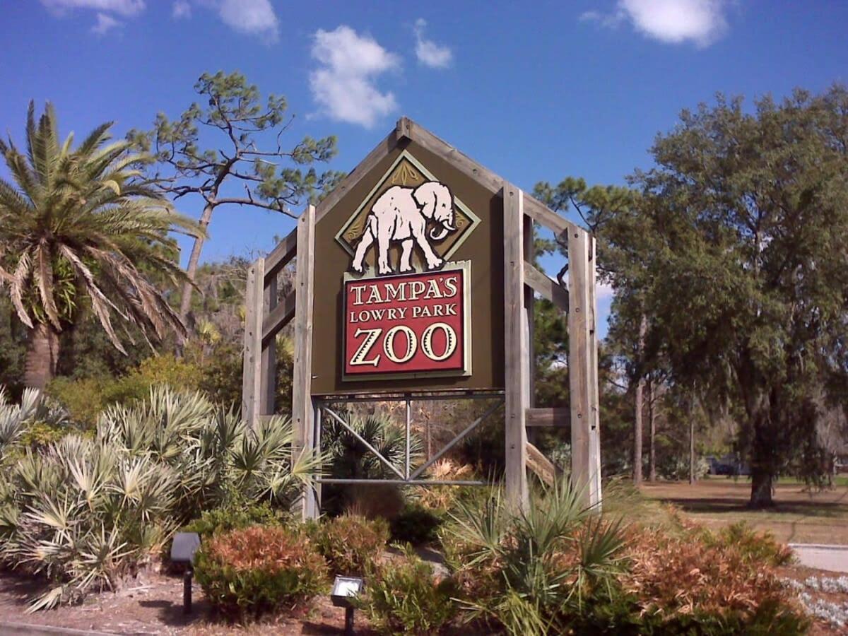 4Bd 2 Mi To Usf Free Pool + 24 Hour Gym Tampa Exterior foto