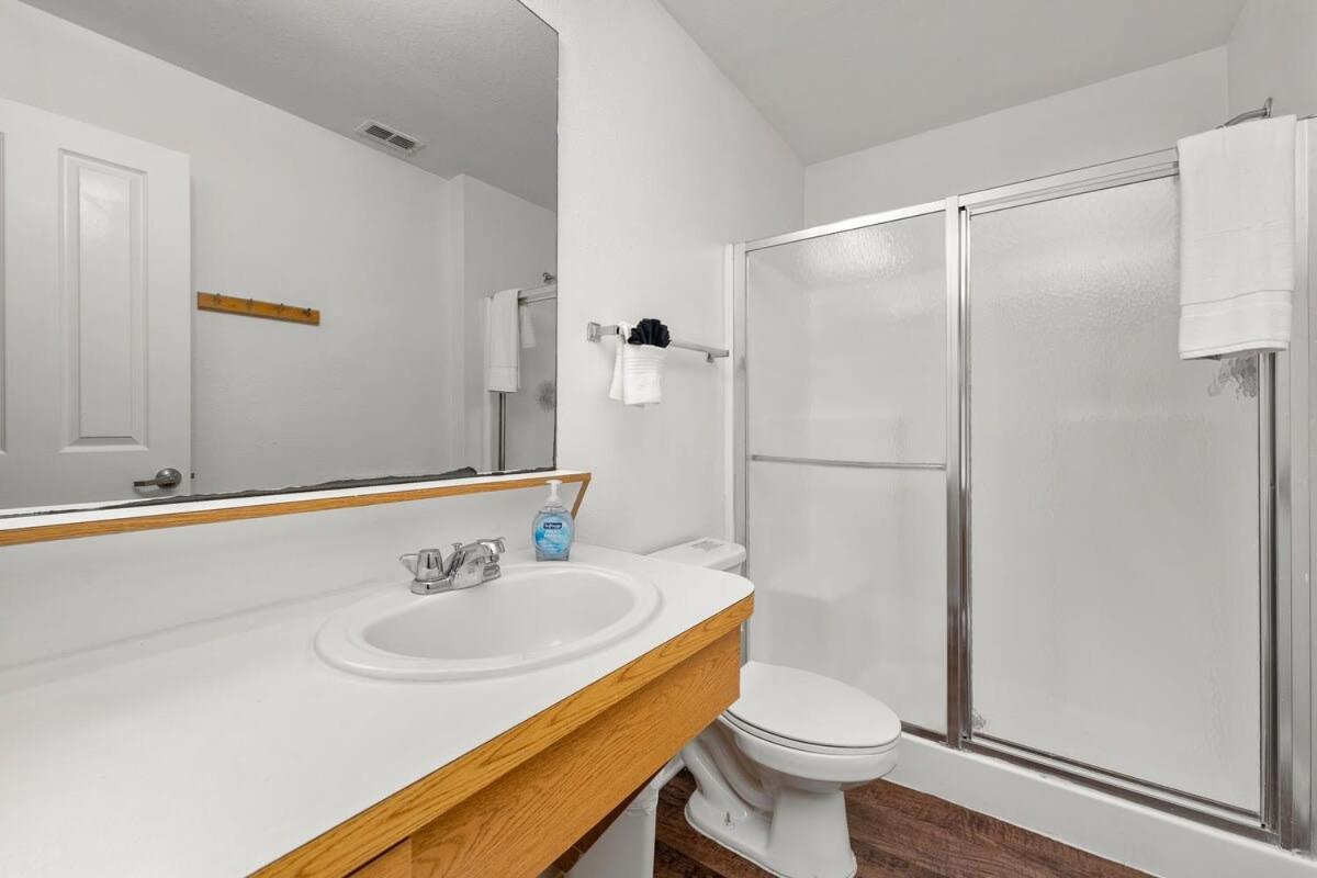 4Bd 2 Mi To Usf Free Pool + 24 Hour Gym Tampa Exterior foto