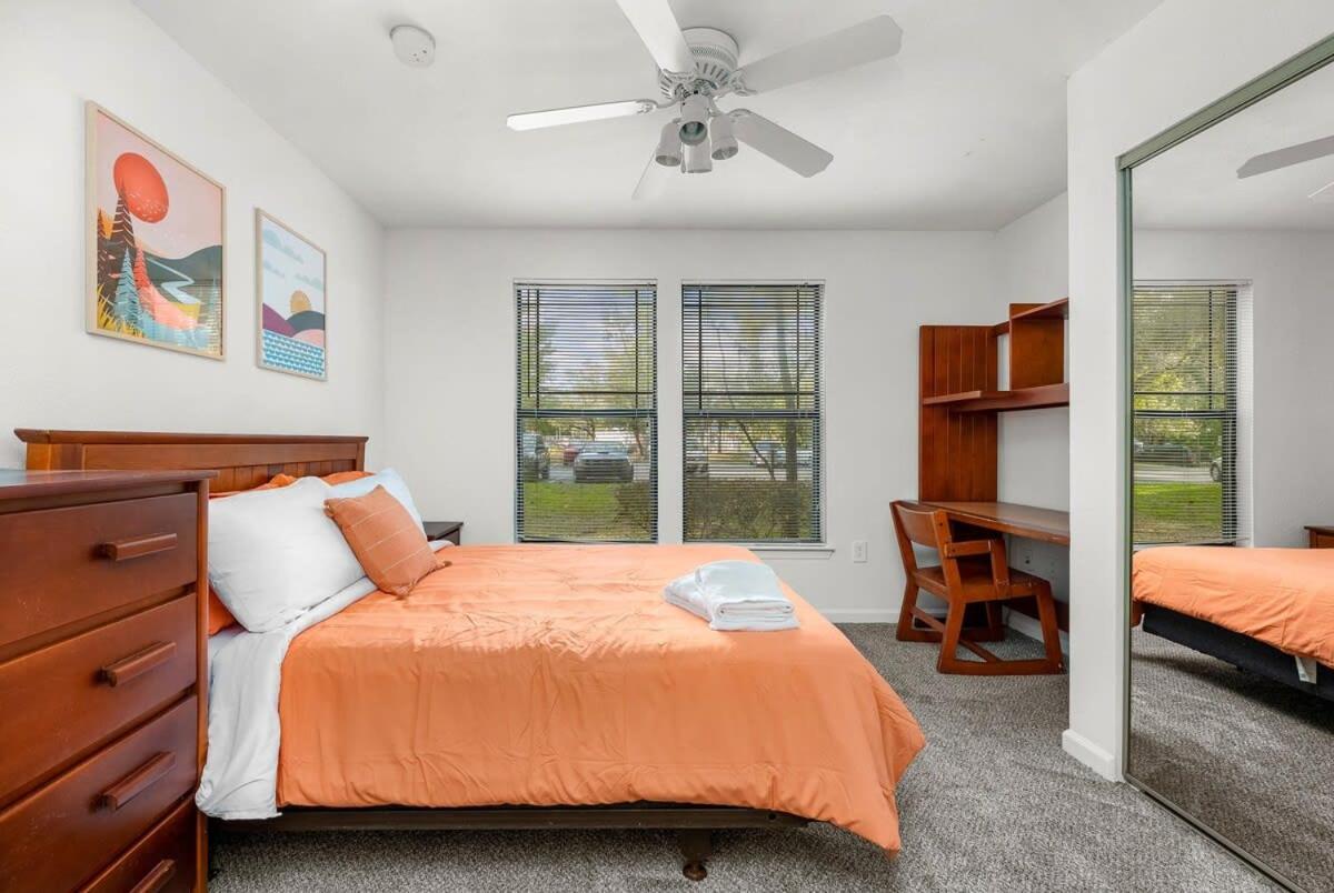 4Bd 2 Mi To Usf Free Pool + 24 Hour Gym Tampa Exterior foto