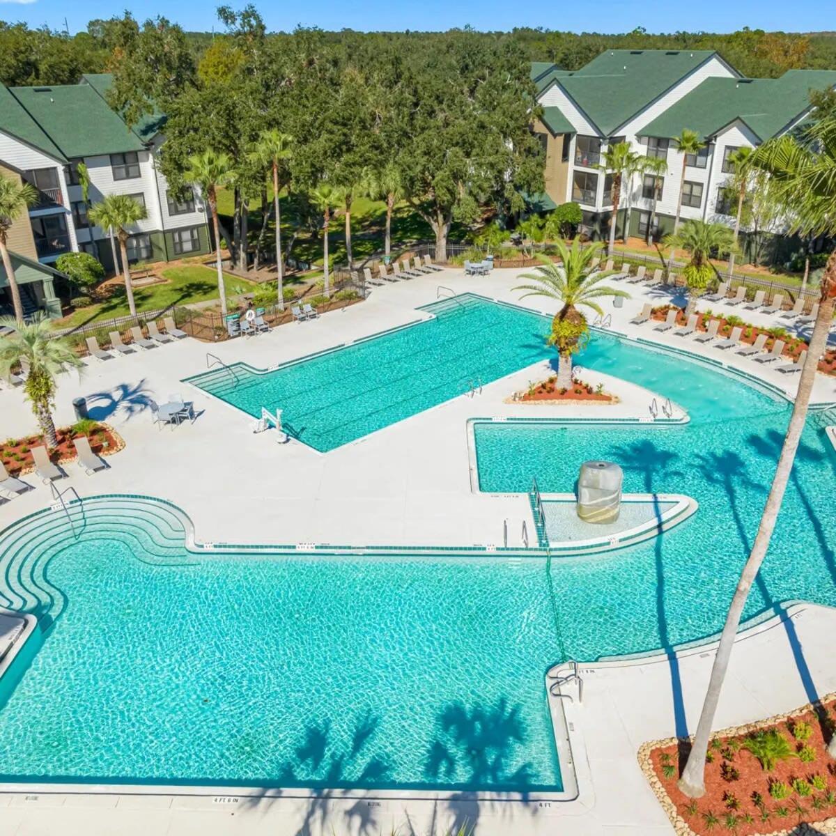 4Bd 2 Mi To Usf Free Pool + 24 Hour Gym Tampa Exterior foto